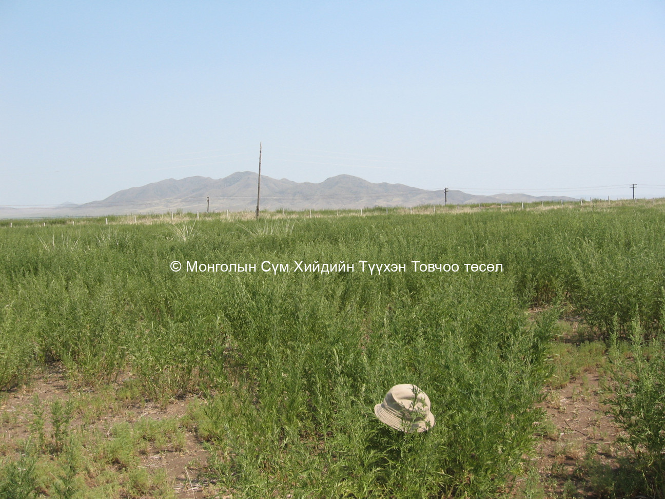 Баруун-Өмнөд талаас авсан